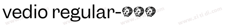 vedio regular字体转换